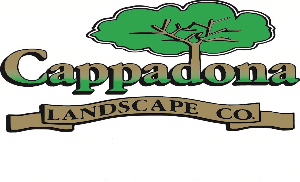 Avatar for Cappadona Landscape Co.
